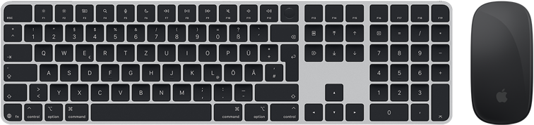 Draufsicht auf das Magic Keyboard mit Touch ID und die Magic Mouse